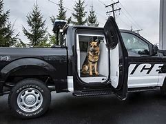 Image result for Police Car K9 Dog