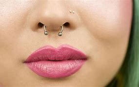 Image result for Cute Septum Piercing Nose