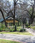 Image result for White Hills Bontainc Gardens