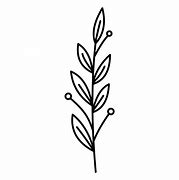 Image result for Leaf Line Art for Beginners