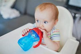 Image result for Water Bottle Sippy Cup