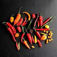 Image result for Scala Scoville