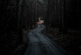 Image result for Dark Forest Background Art