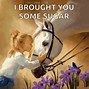 Image result for Sugar PFP