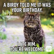 Image result for Cute but Funny B Day Cards