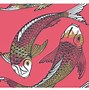 Image result for 13 Koi Carp Image