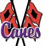 Image result for Cartersville Purple Hurricanes Football