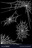 Image result for Spider Web Vector