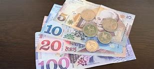 Image result for Georgian Currency