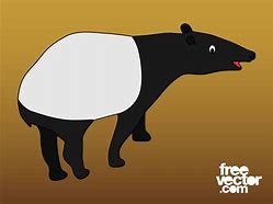 Image result for Tapir Cute