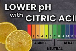 Image result for Citric Acid pH Scale