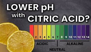 Image result for Citric Acid pH Scale