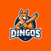 Image result for Dingu Logo