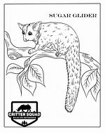 Image result for Sugar Glider Paw Print