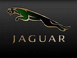 Image result for Gold Jaguar Logo