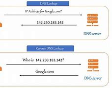 Image result for DNS Lookup