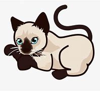 Image result for Siamese Cat Boy