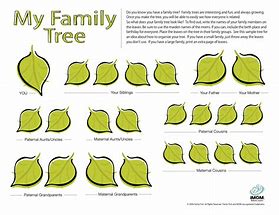 Image result for Family Tree with Leaves