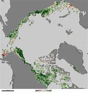 Image result for Arctic Tundra Biome Climate