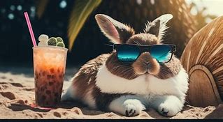 Image result for Summer Vacation Concept Cool Rabbit