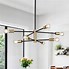 Image result for Black Brass Sputnik Chandelier