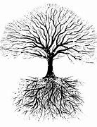 Image result for Tree Roots Clip Art Black and White