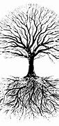 Image result for Black and White Tree with Roots