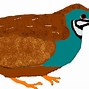 Image result for Quail No Background Clip Art