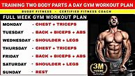 Image result for Different Parts of Body to Workout