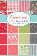 Image result for Beautiful Day Jelly Roll