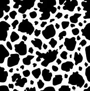 Image result for Real Cow Print