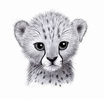 Image result for Draw so Cute Cheetah