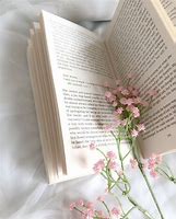 Image result for Pink Library Aesthetic