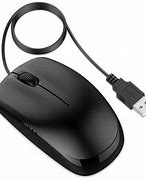 Image result for Copher Mouse