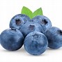 Image result for Blueberry JPEG