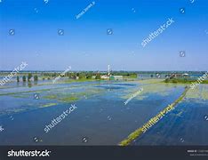 Image result for Oil Drill Site Land