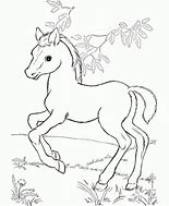 Image result for Baby Horse Running