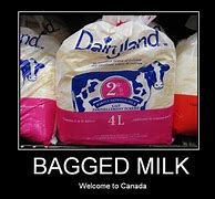 Image result for Weird Canadian Things Like Bagged Milk