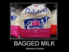 Image result for Bagged Milk Costa