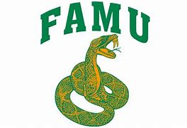 Image result for FAMU Snake PNG