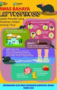 Image result for Leptospirosis Poster