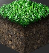 Image result for Realistic Minecraft Grass Block