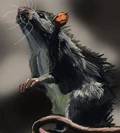 Image result for Art Rat Ban