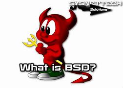 Image result for BSD Guys