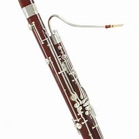 Image result for Bassoon