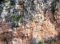 Image result for Rock Strata Yorkshire