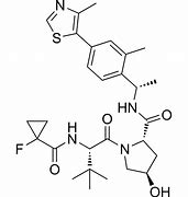 Image result for VHL Pathway