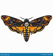 Image result for Death Head Moth Skull