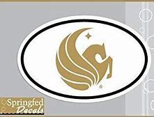 Image result for UCF Pegasus