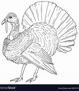 Image result for Turkey Sketch